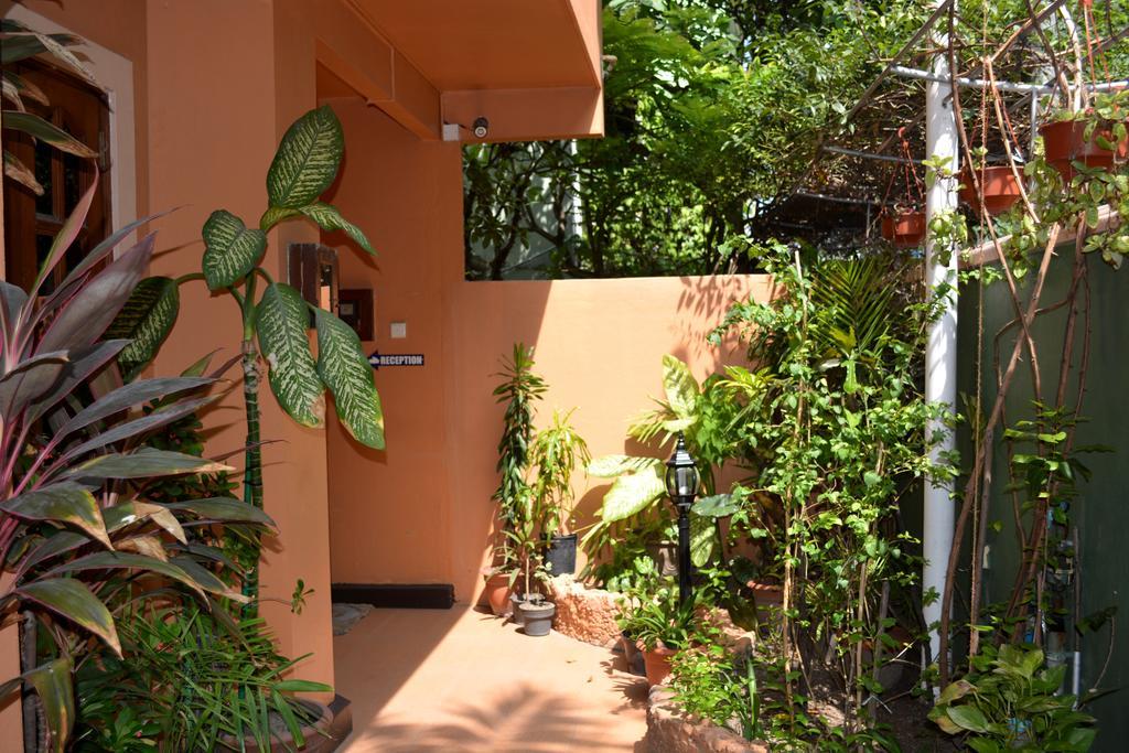 Skai Lodge Malé Eksteriør bilde