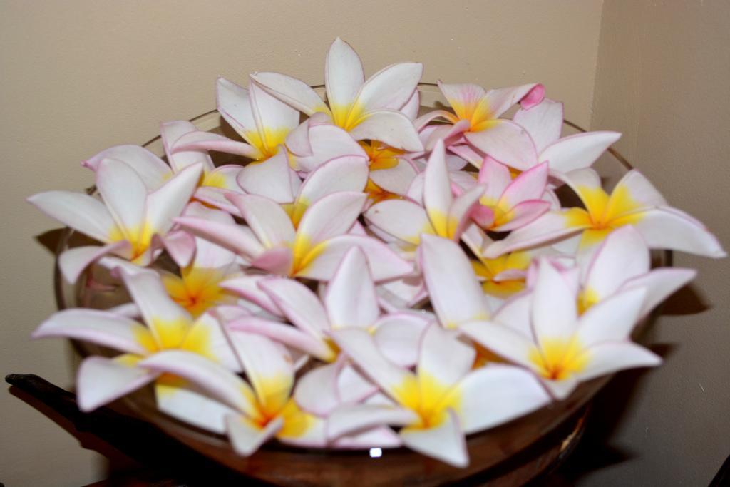 Skai Lodge Malé Eksteriør bilde