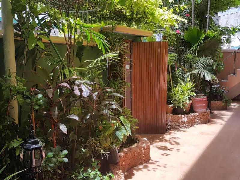Skai Lodge Malé Eksteriør bilde